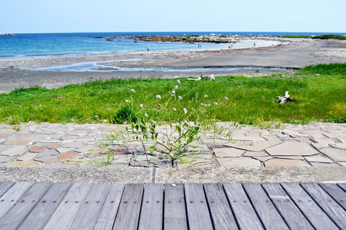 海の見える別荘暮らし